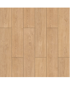 fxl006-1500x1500