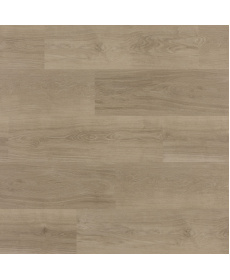 zenn-orlando-click-plank-scaled-1500x1500