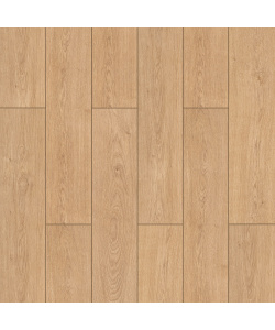 fxl006-1500x1500