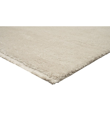 2010_beige_cu