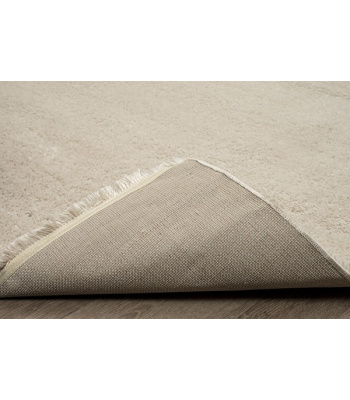 2010_beige_cu2