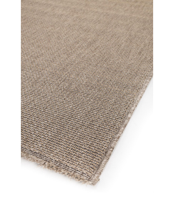 20729_-2