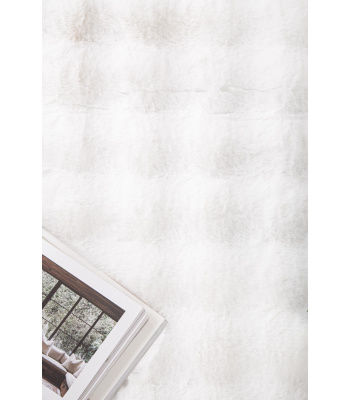 bubble_white_-11_323443658