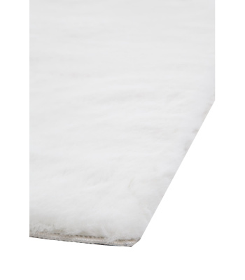 bunny_white_-2_691864492