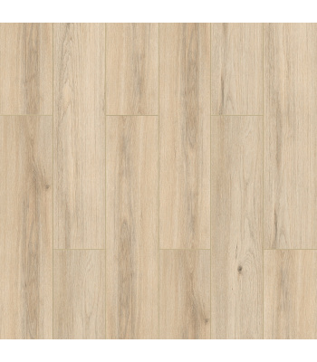 fxl004-1500x1500