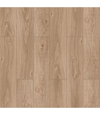 fxl005-1500x1500