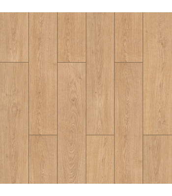 fxl006-1500x1500