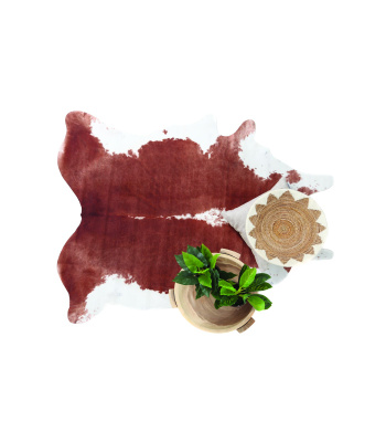 no_2_-10