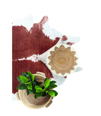 no_2_-12