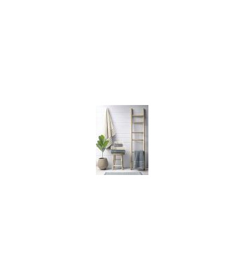 petsetew-mpanioy-set-3tmx-fellow-beige-nima_3_1759921300_496555007