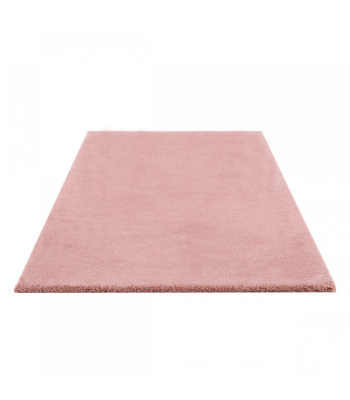 rose-1200x1200-1500x1500