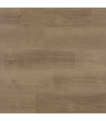 zenn-monsanto-click-plank-scaled-1500x1500_1