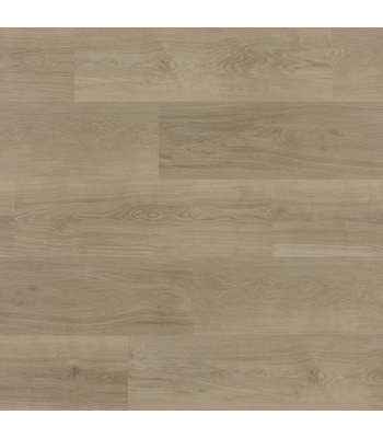 zenn-orlando-click-plank-scaled-1500x1500